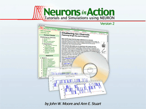 Play the video &ldquo;What is Neurons in Action?&rdquo;